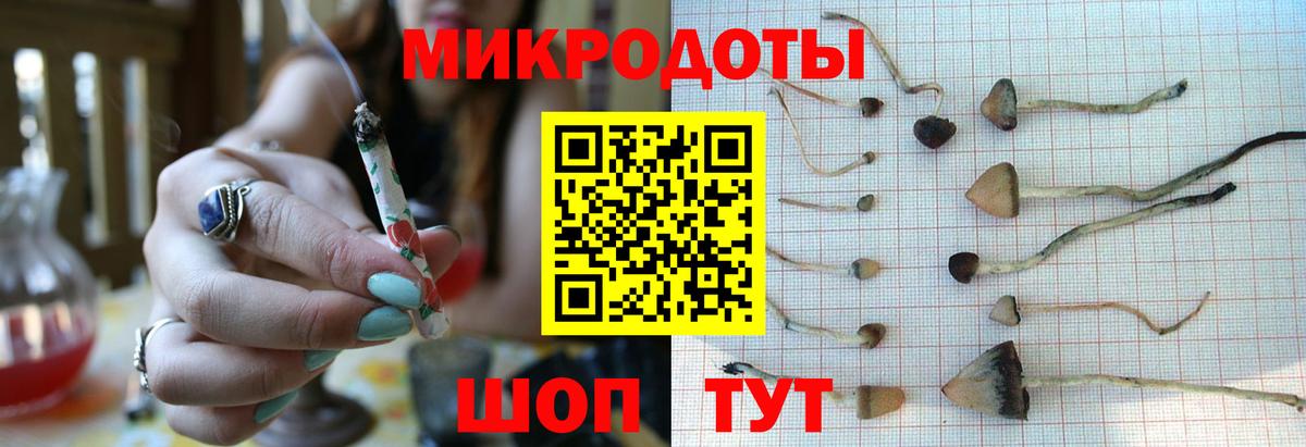 Галлюциногенные грибы MAGIC MUSHROOMS  Вход с VPN  Белогорск 